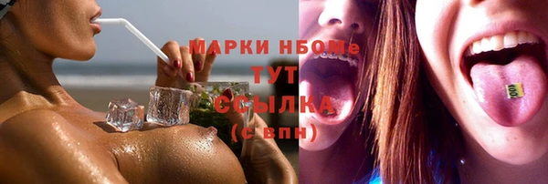 тгк Алзамай