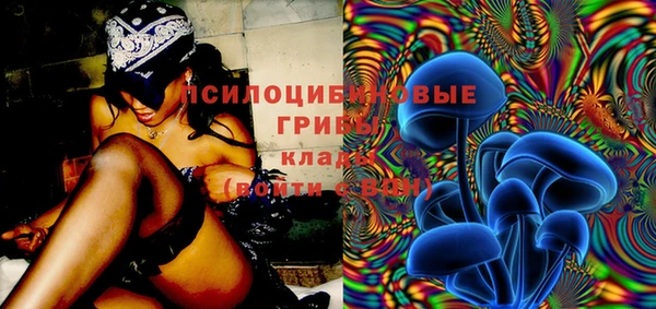 спиды Алексин