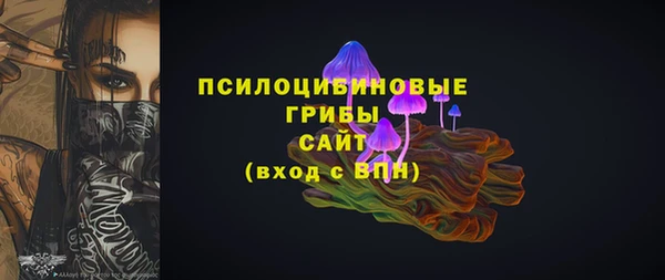 тгк Алзамай