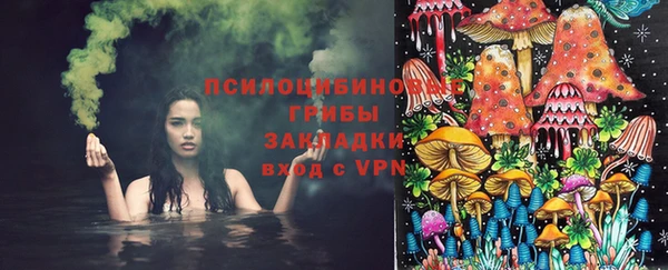 спиды Алексин