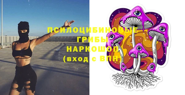 тгк Алзамай