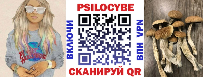 Псилоцибиновые грибы MAGIC MUSHROOMS  omg вход  Алзамай 